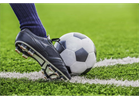 Summer Recreational and Travel Clinics Announced